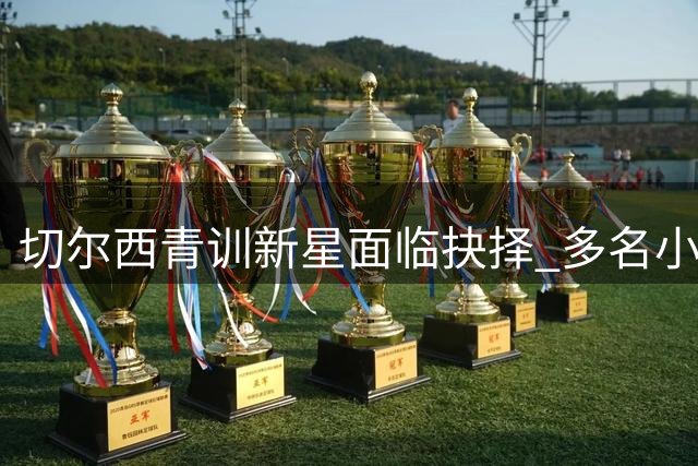切尔西青训新星面临抉择 多名小将或开启外租生涯